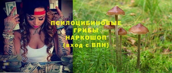марихуана Абаза