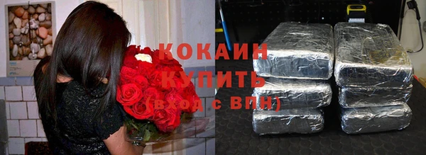 шишки Абинск
