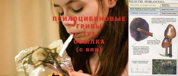 марихуана Абаза