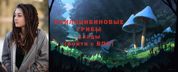 марихуана Абаза