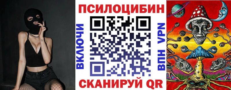 Псилоцибиновые грибы Cubensis  Саратов 